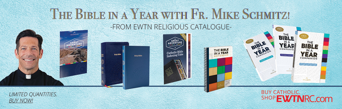 THE BIBLE IN A YEAR WITH FR. MIKE SCHMITZ