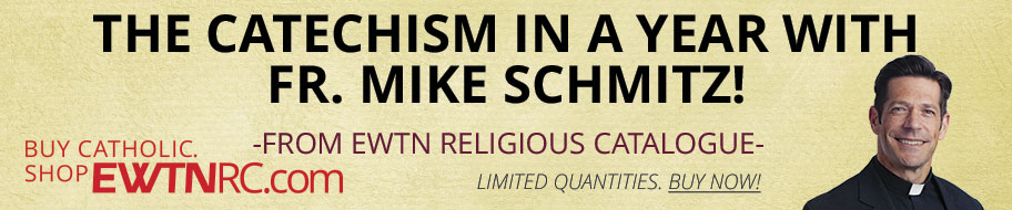 THE CATECHISM IN A YEAR WITH FR. MIKE SCHMITZ
