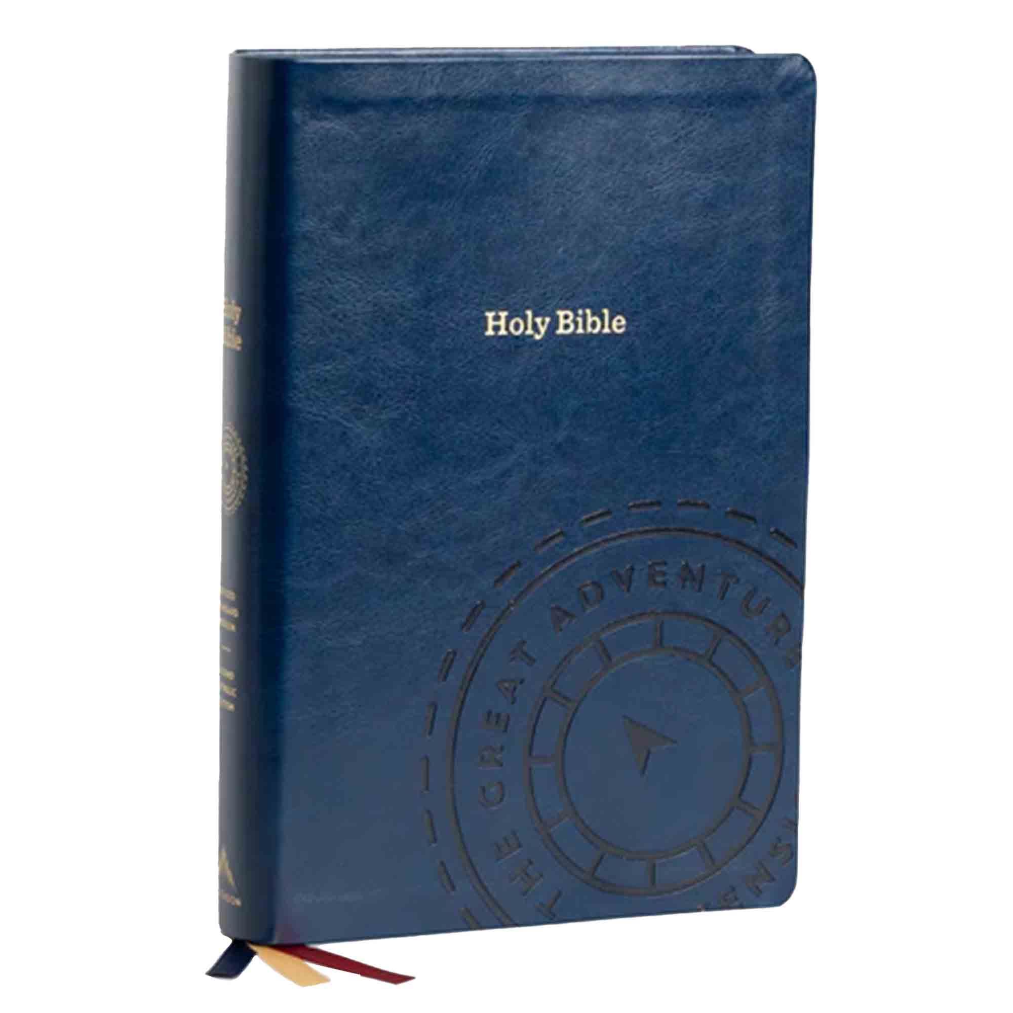 The Great Adventure Bible Large Print Version Bible In A Year