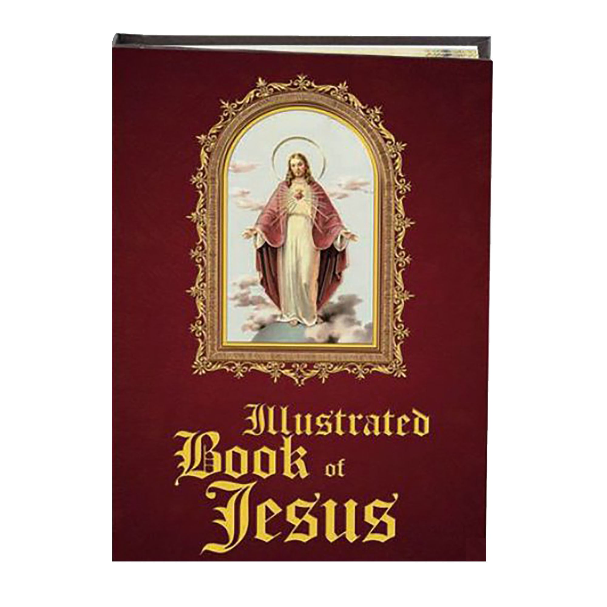ILLUSTRATED BOOK OF JESUS EWTN Religious Catalogue