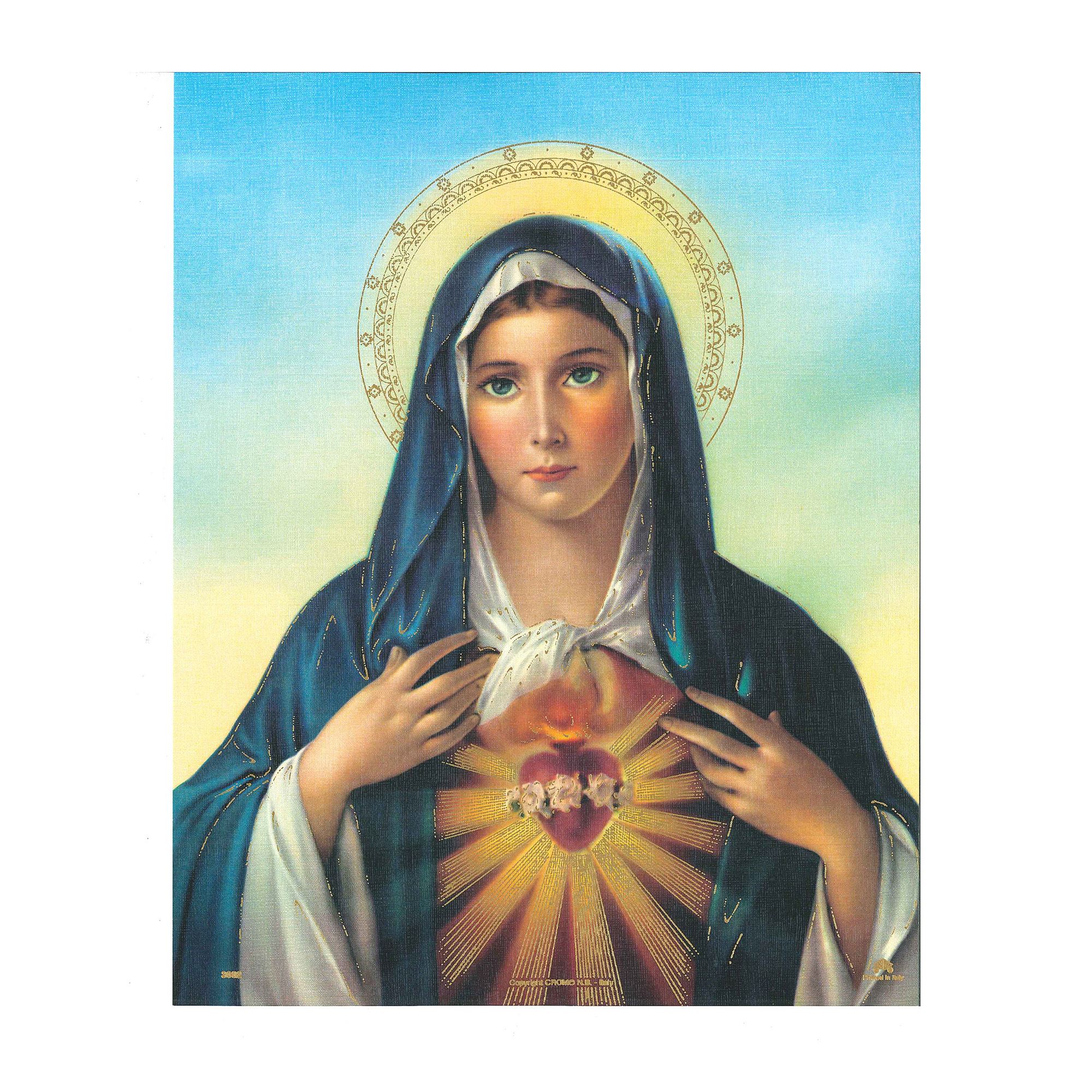 IMMACULATE HEART OF MARY UNFRAMED PRINT - 8" X 10" | EWTN Religious ...