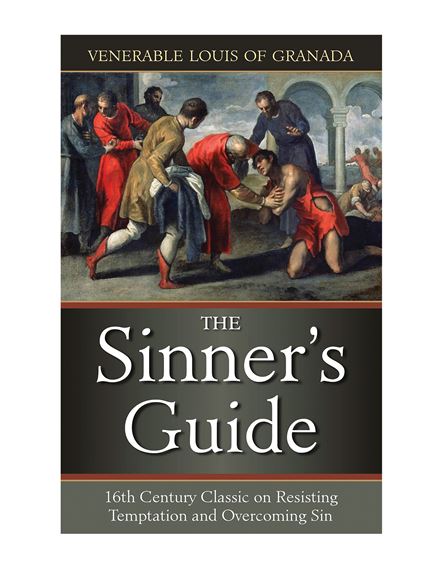 THE SINNER'S GUIDE