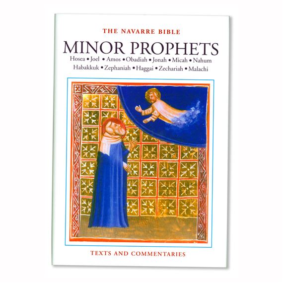 NAVARRE BIBLE: MINOR PROPHETS