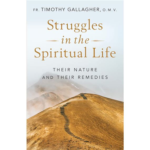 STRUGGLES IN THE SPIRITUAL LIFE - Their Nature and Their Remedies