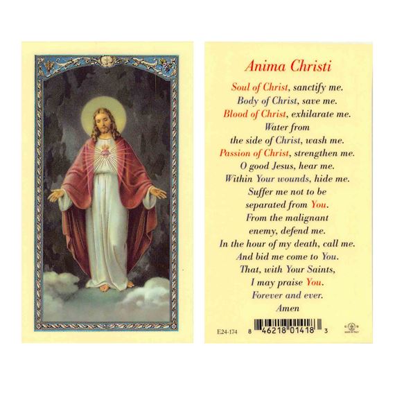 LAMINATED HOLY CARD ANIMA CHRISTI