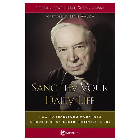 SANCTIFY YOUR DAILY LIFE - How to Transform Work into a Source of Strength, Holiness, & Joy