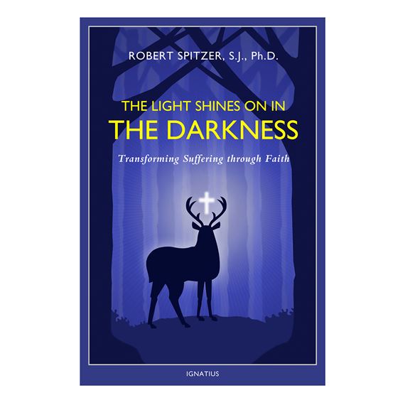 THE LIGHT SHINES ON IN THE DARKNESS