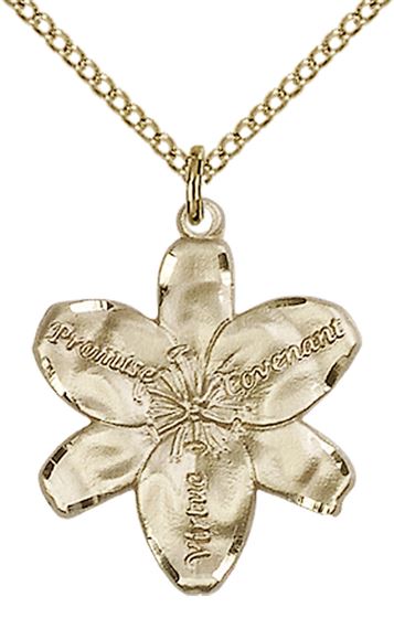 14KT GOLD FILLED CHASTITY PENDANT WITH CHAIN - 7/8" x 3/4"