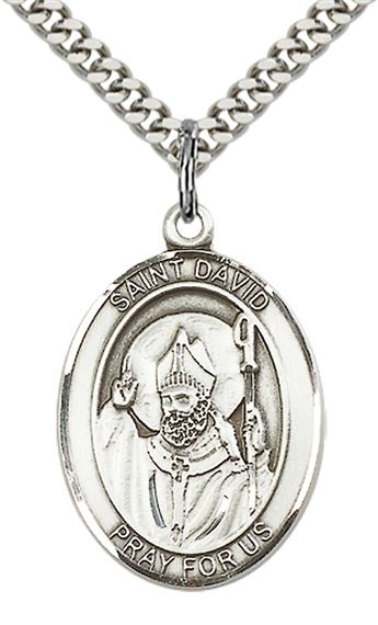 STERLING SILVER ST DAVID OF WALES PENDANT WITH CHAIN - 1" x 3/4"