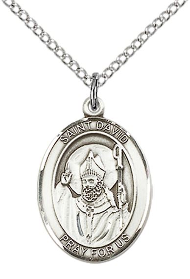 STERLING SILVER ST DAVID OF WALES PENDANT WITH CHAIN - 3/4" x 1/2"