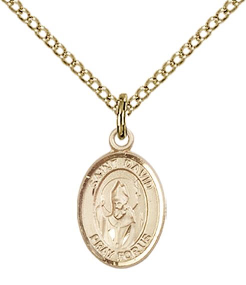 14KT GOLD FILLED ST DAVID OF WALES PENDANT WITH CHAIN - 1/2" x 1/4"