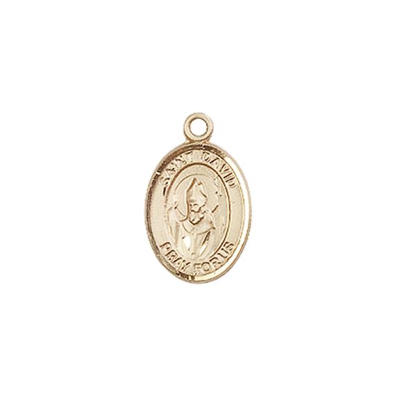 14KT GOLD ST DAVID OF WALES MEDAL - 1/2" x 1/4"