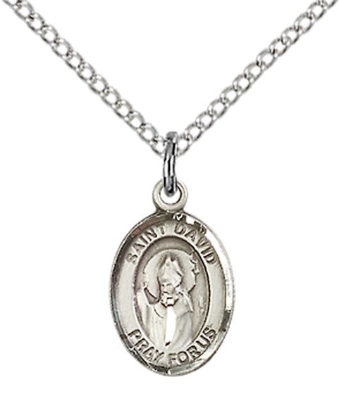 STERLING SILVER ST DAVID OF WALES PENDANT WITH CHAIN - 1/2" x 1/4"