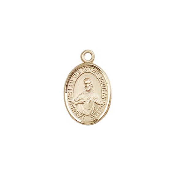 14KT GOLD SCAPULAR MEDAL - 1/2" x 1/4"