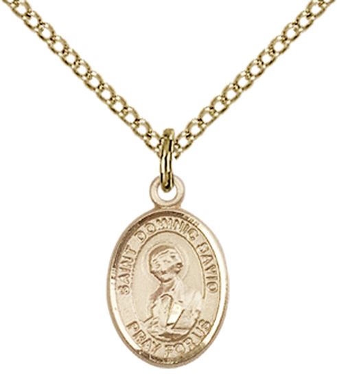 14KT GOLD FILLED ST DOMINIC SAVIO PENDANT WITH CHAIN - 1/2" x 1/4"