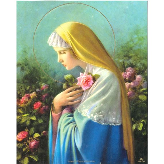 ROSA MYSTICA - UNFRAMED PRINT - 8" X 10"