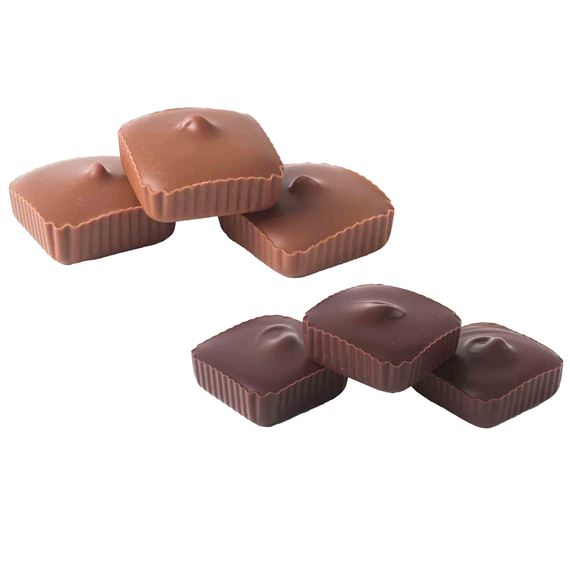 TRAPPISTINE CANDY  (BY MOUNT SAINT MARY'S ABBEY) - MILK OR DARK CHOCOLATE SQUARES