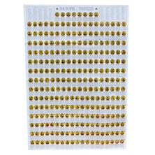 THE POPE CHART - 27 1/2" x 39 1/2"