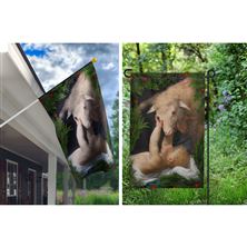 BEHOLD THE LAMB OF GOD FLAG SET