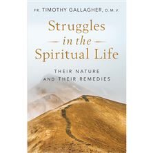 STRUGGLES IN THE SPIRITUAL LIFE - Their Nature and Their Remedies