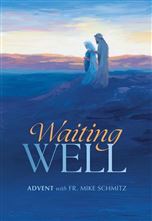 WAITING WELL - ADVENT WITH FR. MIKE SCHMITZ, JOURNAL