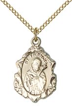 14KT GOLD FILLED ST FRANCIS PENDANT WITH CHAIN