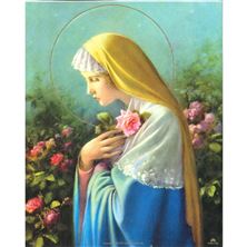ROSA MYSTICA - UNFRAMED PRINT - 8" X 10"