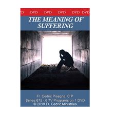 THE MEANING OF SUFFERING - DVD