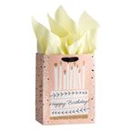 HAPPY BIRTHDAY (CAKE) GIFT BAG (WITH TISSUE PAPER)